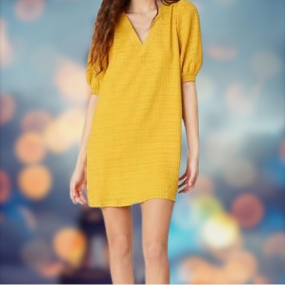 BB DAKOTA by Steve Madden Women's Fields of Gold🌼 - Picture 2 of 9